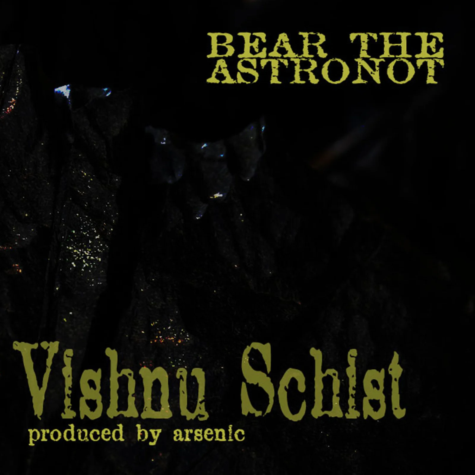 Vishnu Schist cover artwork