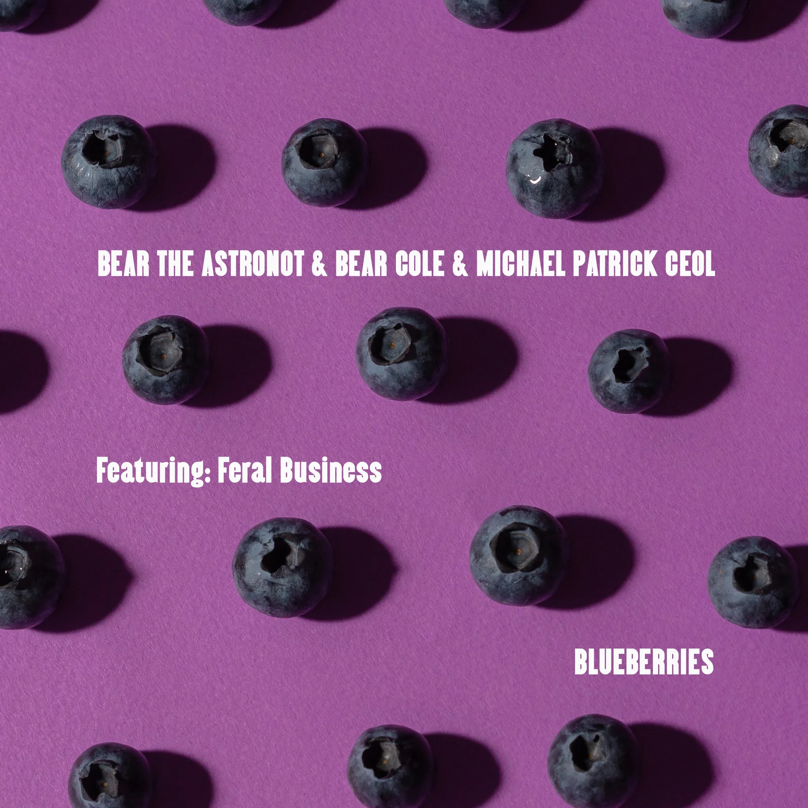 Blueberries cover artwork