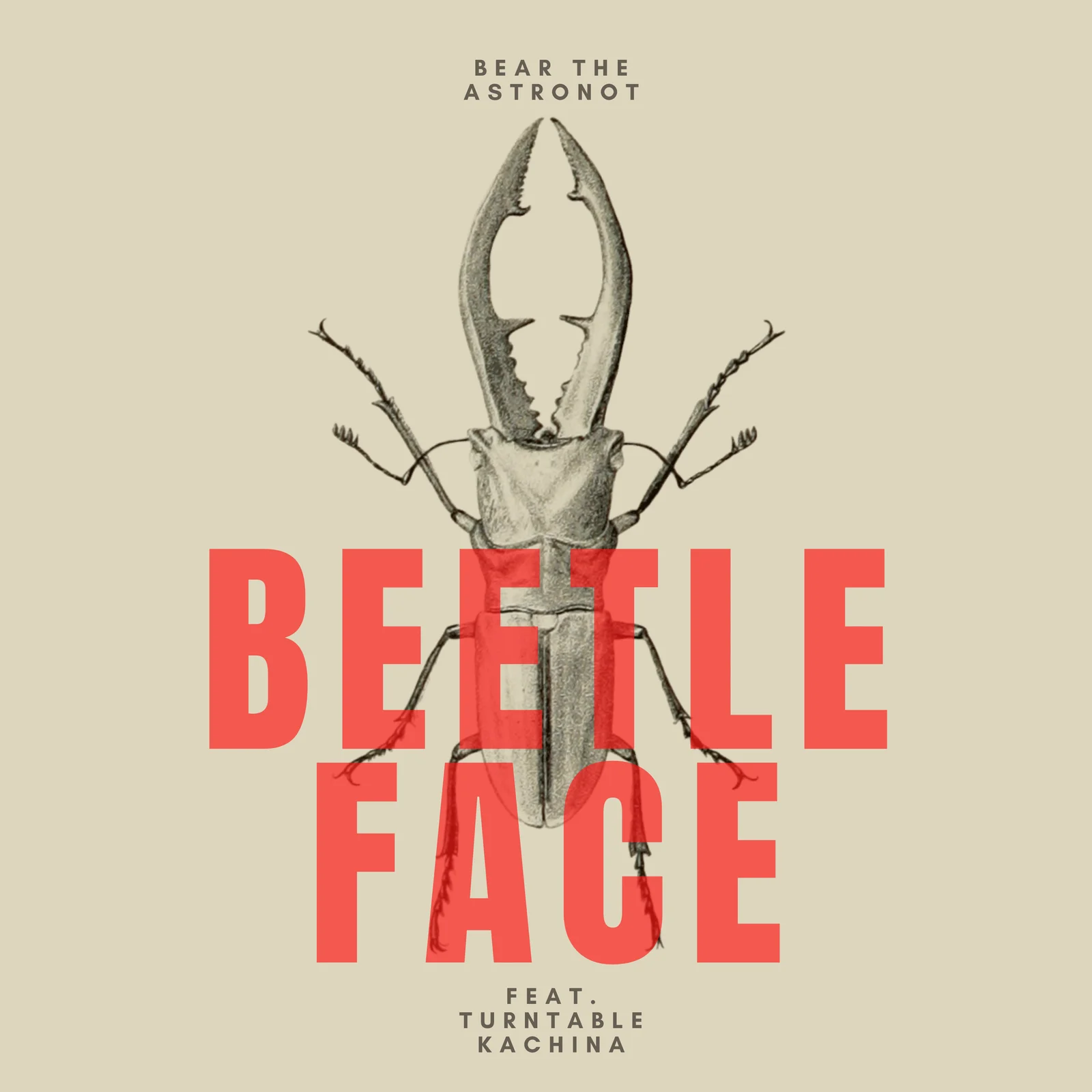 BEETLE FACE cover artwork